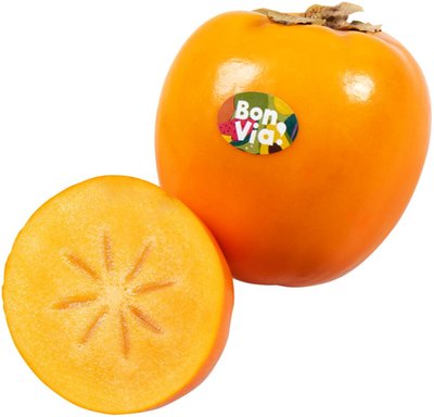 Obrázek Bon Via Kaki