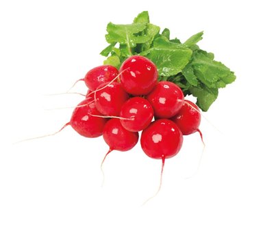 Obrázek Ředkvičky svazek