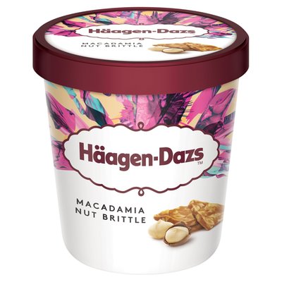 Obrázek Häagen-Dazs Vanilková zmrzlina smetanová s karamelizovanými makadamovými ořechy 460ml