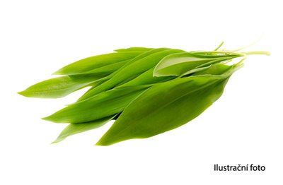 Obrázek Medvědí česnek 50g