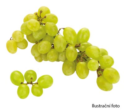 Obrázek Bon Via Hrozny bílé