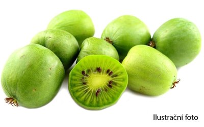 Obrázek Kiwi Mini 125g