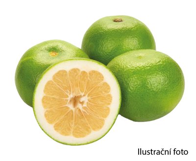 Obrázek Grapefruit Sweetie