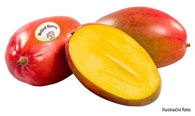 Obrázek Mango dozrálé na stromě