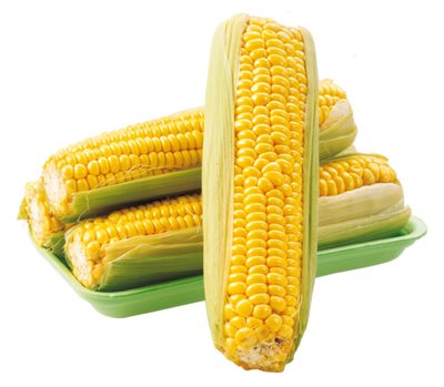 Obrázek Kukuřice cukrová klas