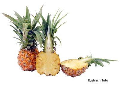 Obrázek Baby ananas