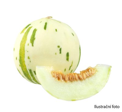 Obrázek Meloun Snowball