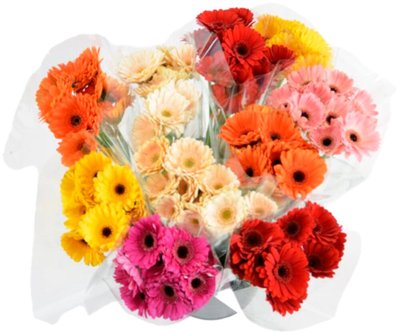 Obrázek Kytice Germini mix