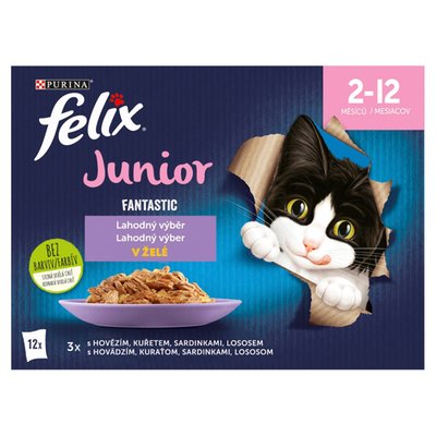 Obrázek Felix Fantastic Junior kapsičky pro koťata hovězí, kuře, sardinky, losos v želé 12 x 85g