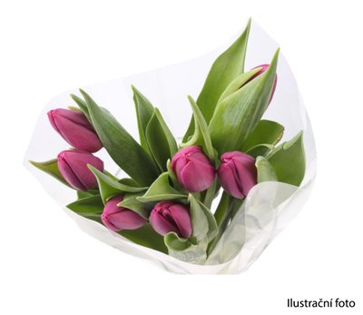 Obrázek Kytice tulipány