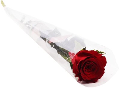 Obrázek Růže 50cm