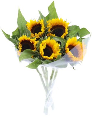 Obrázek Slunečnice 5 ks