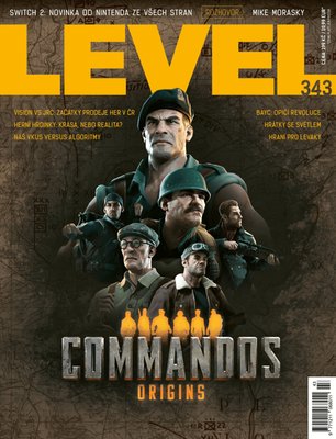 Obrázek Level