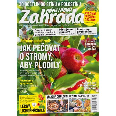 Obrázek Zahrada prima nápadů