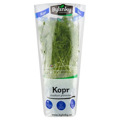 Obrázek Kopr