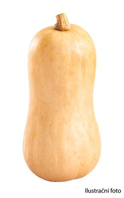 Obrázek Dýně máslová