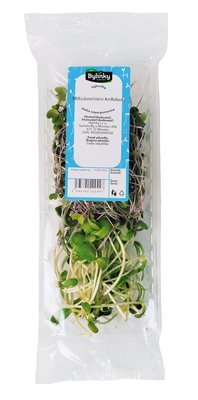Obrázek Výhonky slunečnice/kedlubna 40g