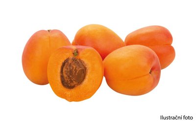 Obrázek Bon Via Meruňky