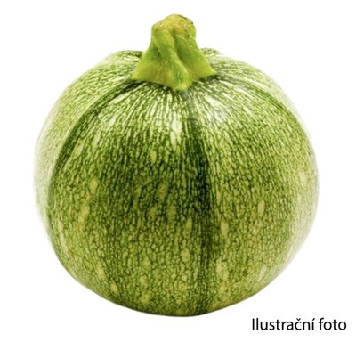 Obrázek Cuketa kulatá