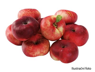 Obrázek Nektarinka Platerino 500g