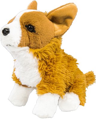 Obrázek Velšský corgi Korgi