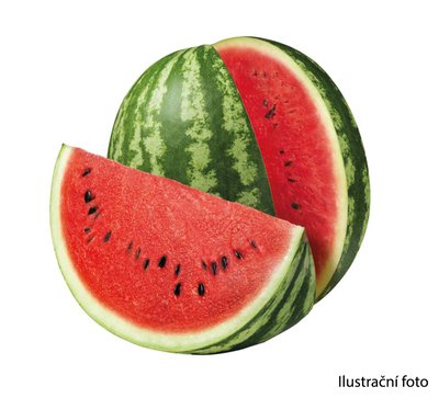 Obrázek ŠETŘÍME JÍDLEM: Vodní meloun semenný