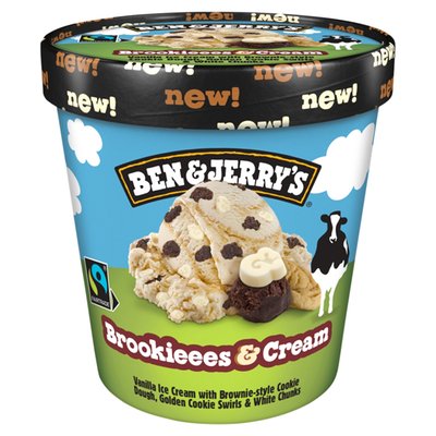 Obrázek Ben & Jerry's Brookieees & Cream 465ml