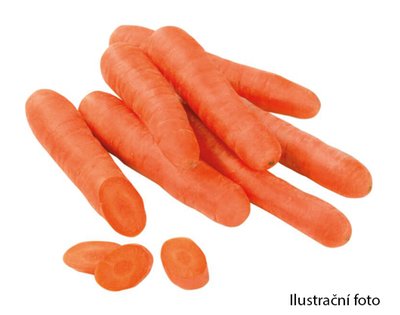Obrázek clever Mrkev 1kg