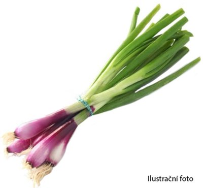 Obrázek Česká Farma Jarní cibulka červená 150g