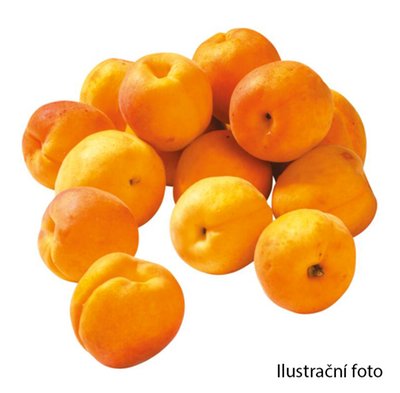 Obrázek Bon Via Meruňky 500g