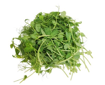 Obrázek Microgreens hrášky 30g