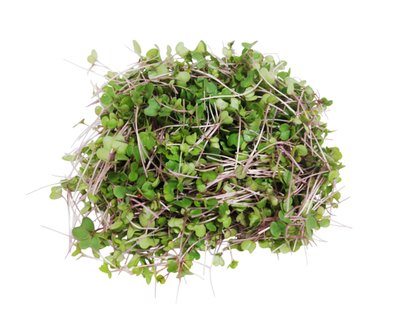 Obrázek Microgreens kedlubny 30g
