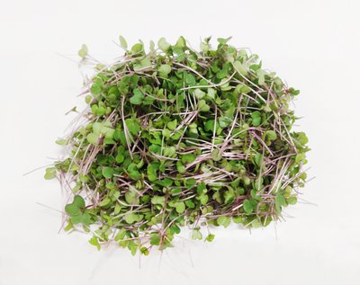 Obrázek Microgreens kedlubny 30g
