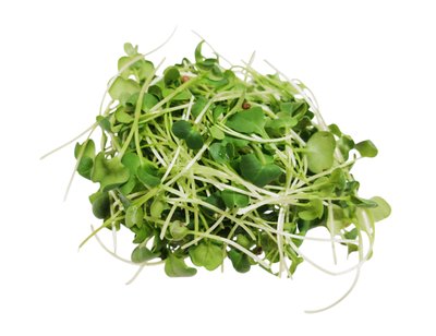 Obrázek Microgreens ředkve Daikon 30g