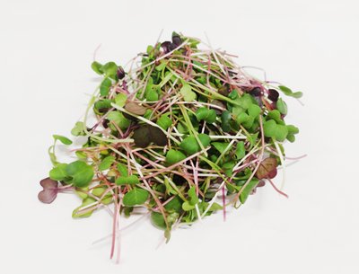 Obrázek Microgreens ředkvičky Mix 30g