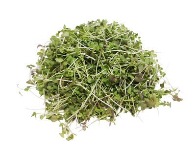 Obrázek Microgreens mizuny červené 20g