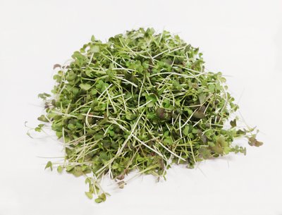 Obrázek Microgreens mizuny červené 20g