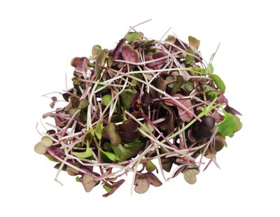 Obrázek Microgreens ředkvičky Sango 30g
