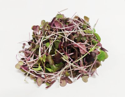 Obrázek Microgreens ředkvičky Sango 30g