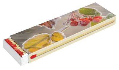 Obrázek Camino maxi zápalky krbové 20 cm
