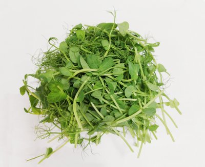 Obrázek ŠETŘÍME JÍDLEM: Microgreens hrášku 30g