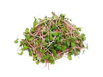 Obrázek ŠETŘÍME JÍDLEM: Microgreens ředkvičky 30g