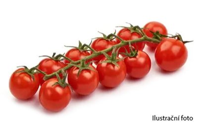Obrázek Rajče cherry medové Maruška