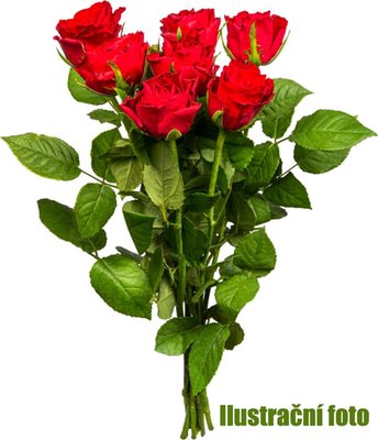 Obrázek Kytice růže 40 cm