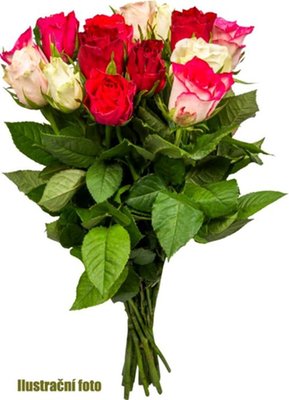 Obrázek Kytice růží pastelová