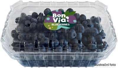 Obrázek Bon Via Borůvky 500g