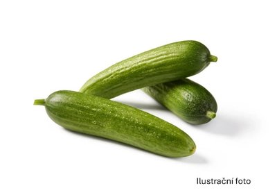 Obrázek BIO MINI OKURKY 250G, 8KS/KRT