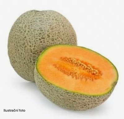Obrázek Meloun Cantaloupe