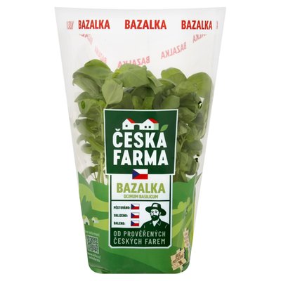 Obrázek ČF BAZALKA KVĚTINÁČ 11CM, 6KS/KRT