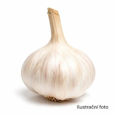 Obrázek Česká Farma Česnek paličák 2ks